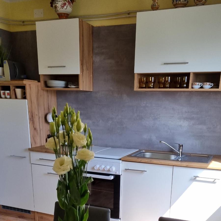 Apartma Tanja -Kamnik Exterior photo